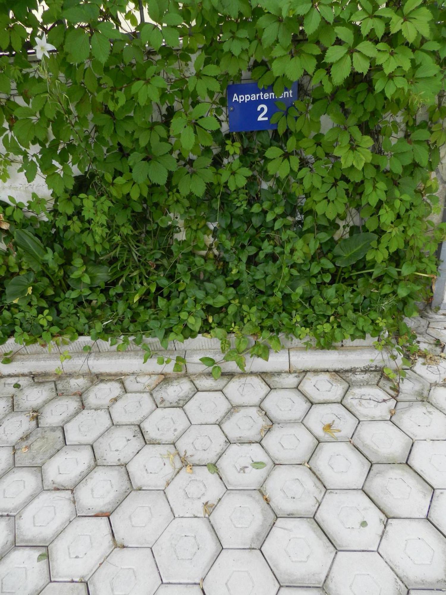 Apartments Kaskada Marina Εξωτερικό φωτογραφία